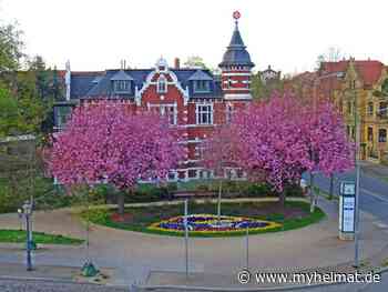 Zur Zeit ein Hingucker ! - Lutherstadt Wittenberg - myheimat.de