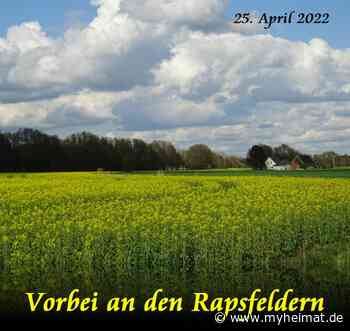 Der Montag Nachmittag - Lutherstadt Wittenberg - myheimat.de