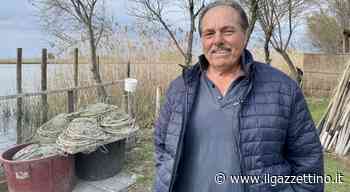 Maurizio Marchesan, il pescatore di Caorle: «I granchi blu daneggiano le reti e nessuno ci dà una mano» - ilgazzettino.it