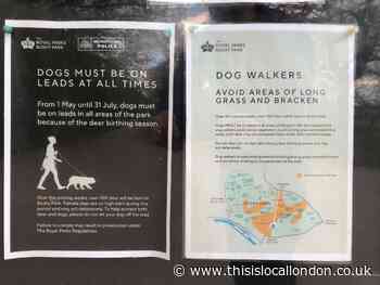 Royal Park Angers Dog Walkers - Annie Martin St Catherine's School