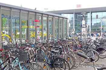 Ratten am Hauptbahnhof: Stadt Münster ergreift Maßnahmen