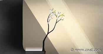Prune, a Zen Puzzle Game, Is Now on Apple Arcade     - CNET