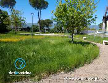 SEI TU IL REPORTER - "A Quattro Strade l'erba delle aiuole perché non viene tagliata?" - Rietinvetrina