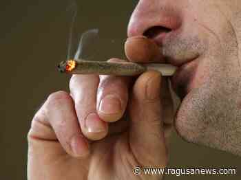 Comiso, panettiere con tre canne d'erba in tasca: denunciato Comiso - RagusaNews