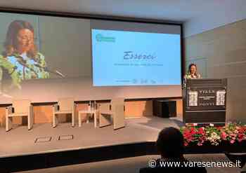 Confesercenti risponde a Romana dell'Erba: "Avviato un procedimento disciplinare" - varesenews.it