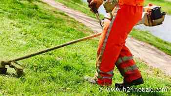 Latina, sfalcio dell'erba nelle scuole: "Amministrazione incapace" - h24 notizie - portale indipendente di news dalla provincia - h24 notizie