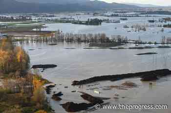 BC expands disaster flood assistance for farmers, small businesses – Chilliwack Progress - Chilliwack Progress
