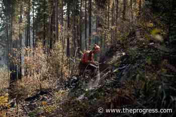 Vaccine policy to remain in place for BC Wildfire Service – Chilliwack Progress - Chilliwack Progress