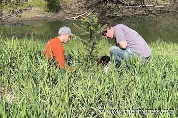 Planting trees along the Hope Slough in Chilliwack 'a good start' – Chilliwack Progress - Chilliwack Progress