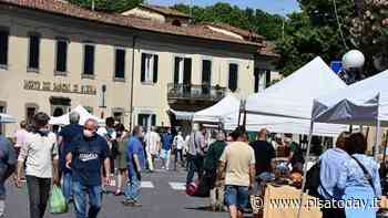 Antiqua a San Giuliano Terme - PisaToday
