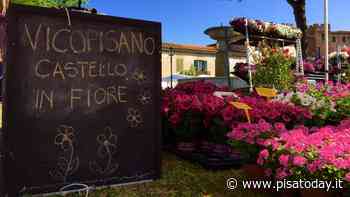Castello in Fiore a Vicopisano - PisaToday
