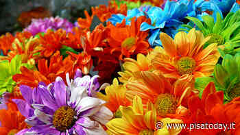 Cosa fare a Pisa e provincia nel weekend del 30 aprile e 1 maggio 2022 - Blog - PisaToday