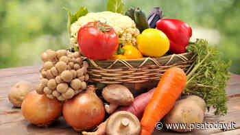 Tanti appuntamenti per il weekend del primo maggio all'Agrifiera - PisaToday