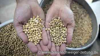 China lässt Gen-Soja aus Argentinien zu