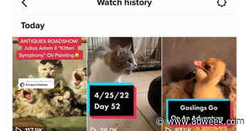 TikTok: How to Turn Off Your Watch History
