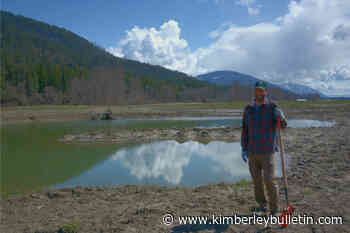 Nature Conservancy of Canada leads restoration project on Creston Valley farmland - Kimberley Bulletin