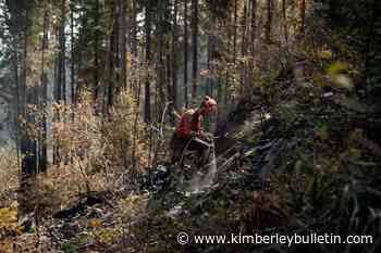 Vaccine policy to remain in place for BC Wildfire Service – Kimberley Daily Bulletin - Kimberley Bulletin