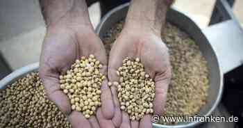 China lässt Gen-Soja aus Argentinien zu