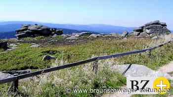 Spurensuche im Harz: Woher kommt die mystische Walpurgisfeier?