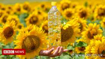 Sunflower oil substitutes named by food watchdog
