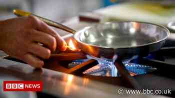 OMV: European energy firm mulls Russia rouble demand