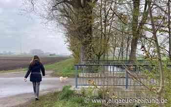 Steinheim und Amendingen: Natur für Einheimische erlebbar machen - Allgäuer Zeitung