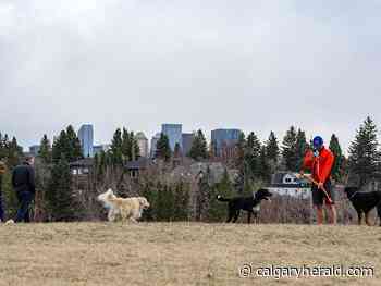 COVID-19 Live Updates: News on coronavirus in Calgary for April 29 - Calgary Herald
