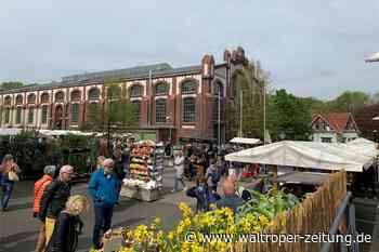 Gartentage bei Manufactum Waltrop: Sydowstraße wird Einbahnstraße - Waltroper Zeitung