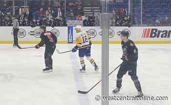 Blades' Watterodt becoming a player to watch in Saskatoon - WestCentralOnline.com
