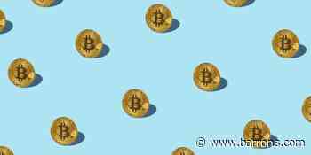 Cryptocurrency Prices Pop. Bitcoin Whales Keep Feeding. - Barron's