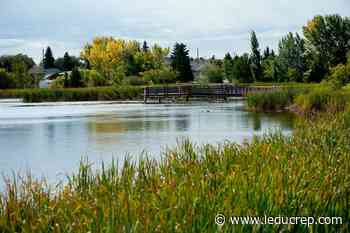 City picks South Telford Lake for Arbour Day tree planting - Leduc Representative