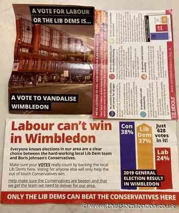 How effective are political flyers in persuading young voters? By Sharanya Narasimhan, Wimbledon High School