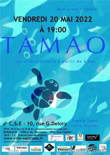 Ciné-concert « Tamao » Centre socio-éducatif vendredi 20 mai 2022 - Unidivers