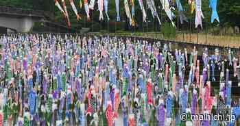 Japan Photo Journal: 4,000 carp streamers fly above Gunma Pref. river - The Mainichi - The Mainichi