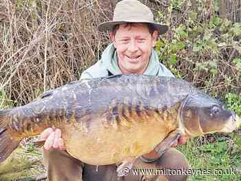 Mount Farm carp come biting in the sunshine - Milton Keynes Citizen