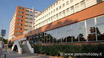 L'Ersu pagherà il 100% delle borse di studio richieste: sono quasi 10 mila, via al pagamento dell'ultima tranche - PalermoToday