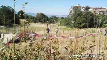 In Umbria reati ambientali in crescita del 10 per cento, ma è boom di denunce e arresti - Umbria 24 News