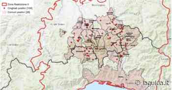 Peste suina africana, più di cento carcasse di cinghiali in quattro mesi - La Guida - LaGuida.it