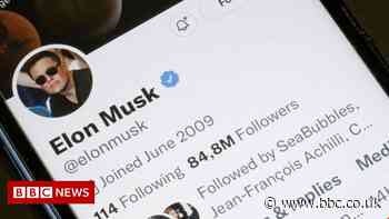 Elon Musk loses bid to end Tesla tweets oversight deal