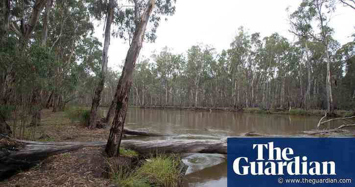 New Murray-Darling Basin Authority boss fails to mention environment in all-staff memo