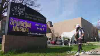 SOTA teacher on leave over claims of racially inflammatory lesson