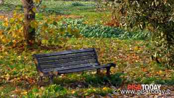 Pontedera: via alla sistemazione di strutture e arredi in legno - PisaToday