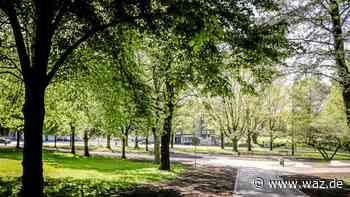 Essen: Wiedereröffnung der Grünanlage Elisenplatz - WAZ News