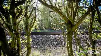 Gleise in Essen frei zugänglich: 270 Züge täglich - WAZ News