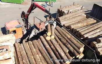 Mit Holz für die Zukunft gut aufgestellt? Forstbetriebsgemeinschaft Marktoberdorf zieht Bilanz - Allgäuer Zeitung