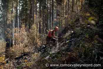 Vaccine policy to remain in place for BC Wildfire Service – Comox Valley Record - Comox Valley Record