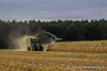 Coldiretti Vercelli-Biella – Clima: bene risoluzione per acqua salva raccolti - newsbiella.it