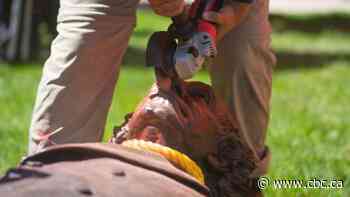 Hamilton mayor wants John A. Macdonald statue reinstalled with residential school context - CBC.ca