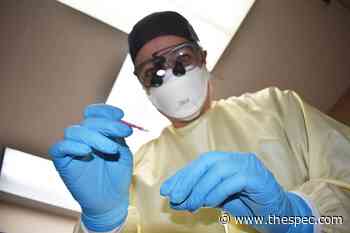 Hamilton Mountain hygienist looking for oral health study volunteers - Hamilton Spectator