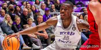 Hamilton Honey Badgers add former Weber State guard, Toronto-native Joby McEwan | inTheHammer - insauga.com